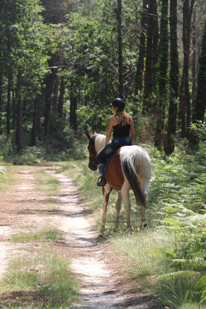 Cavalière sur un cheval pie marchant sur un chemin forestier