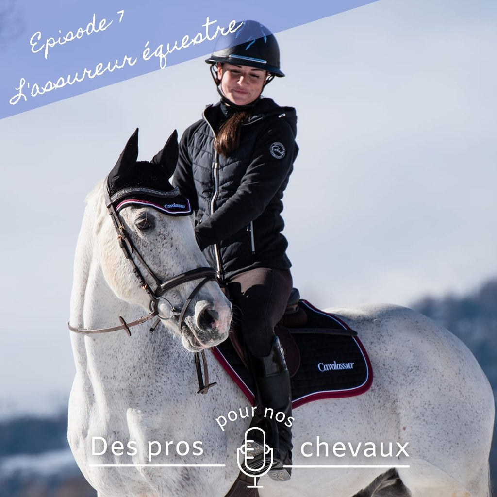 🎧 Podcast "Des pros pour nos chevaux" : L'assureur équestre
