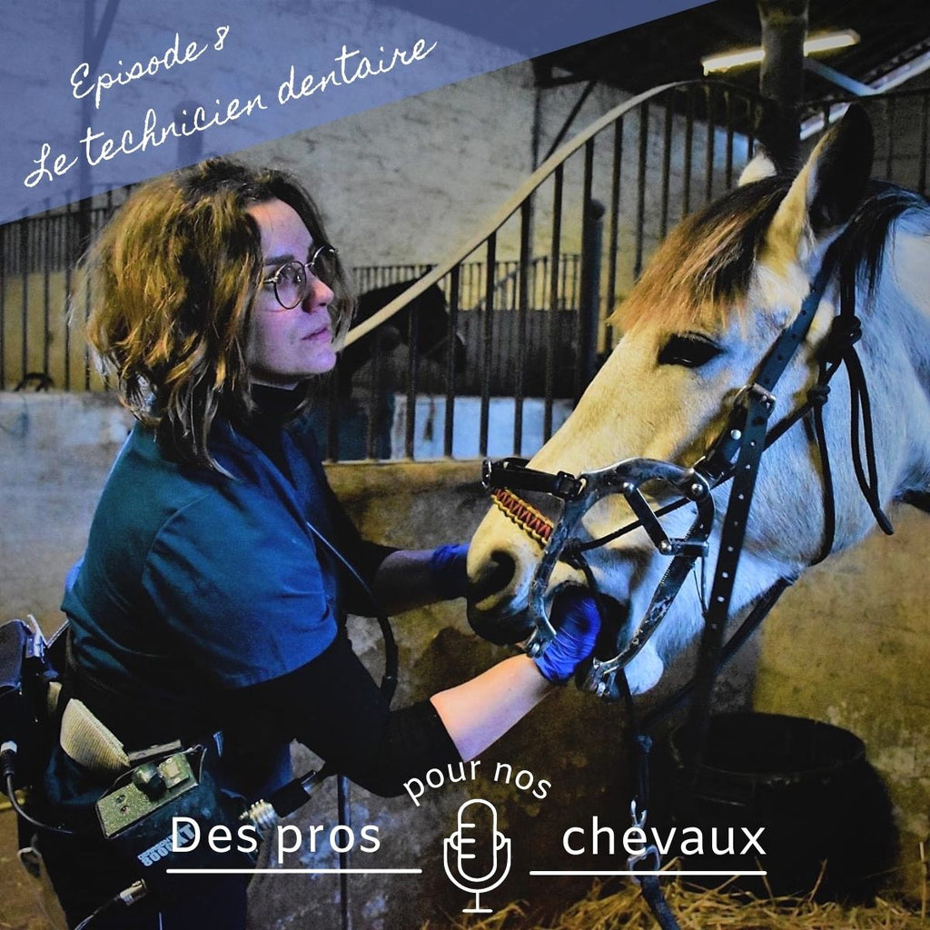 🎧 Podcast "Des pros pour nos chevaux" : Le technicien dentaire