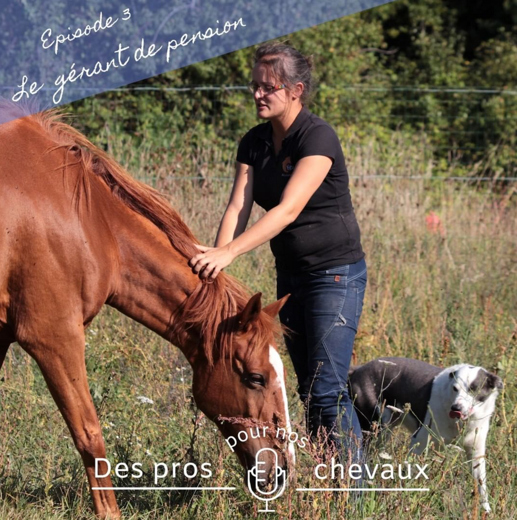 🎧 Podcast "Des pros pour nos chevaux" : Le gérant de pension