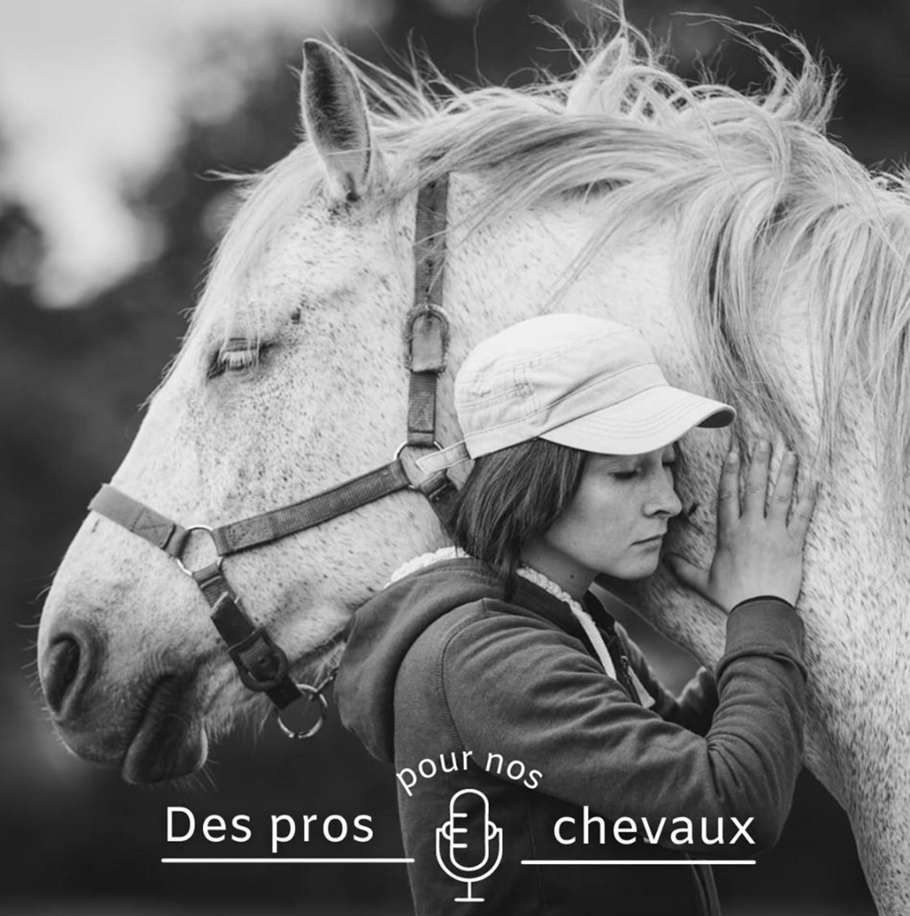 🎧 Podcast "Des pros pour nos chevaux" : L'ostéopathe