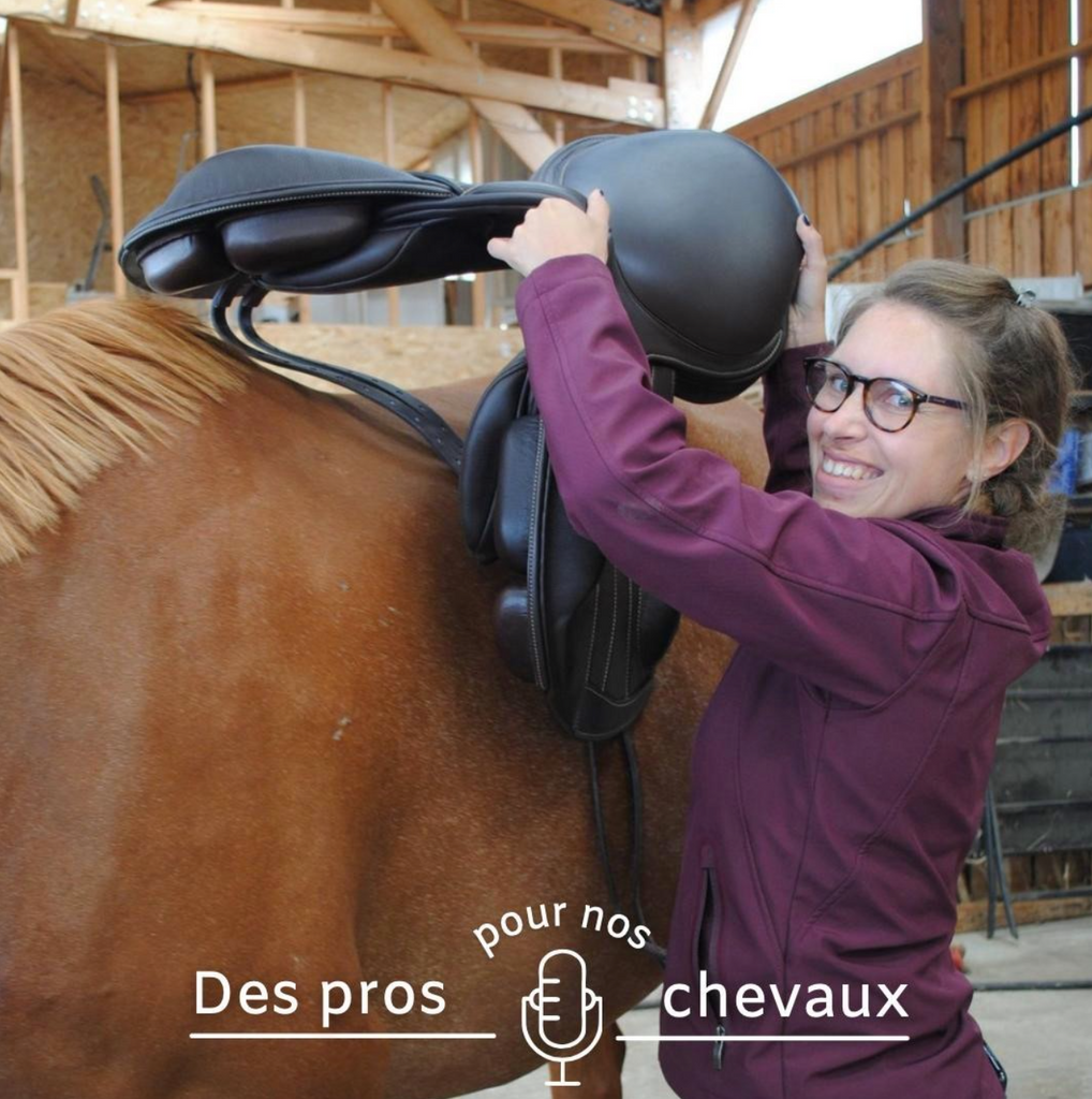 🎧 Podcast "Des pros pour nos chevaux" : Le saddle fitter