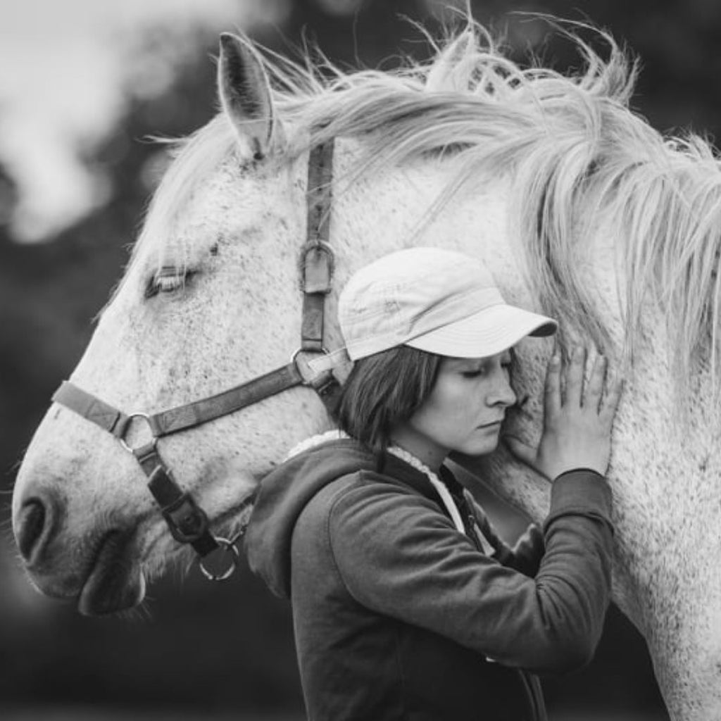 Ostéopathe, dentiste: quand et pourquoi les faire venir pour mon cheval ?