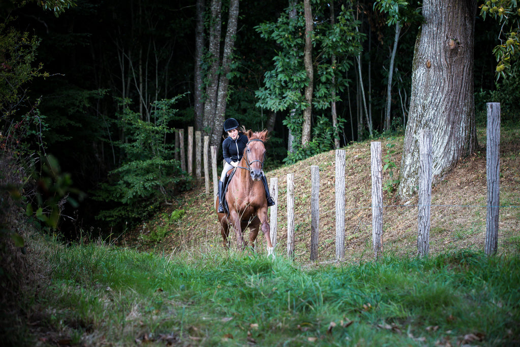Cavalière et son cheval au galop dans un sous bois
