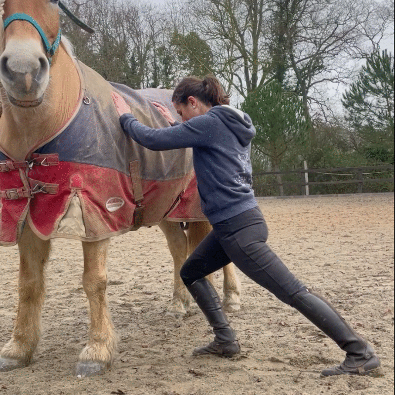 Personne s'appuyant sur un cheval et pliant une jambe en tendant l'autre en arrière, à droite puis à gauche