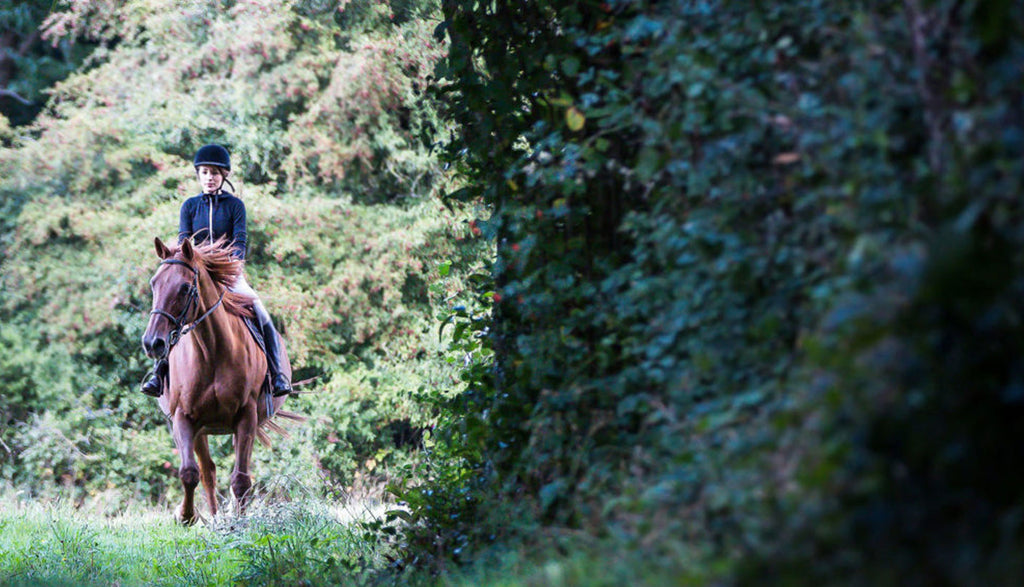 Cavalière et son cheval au galop dans la forêt