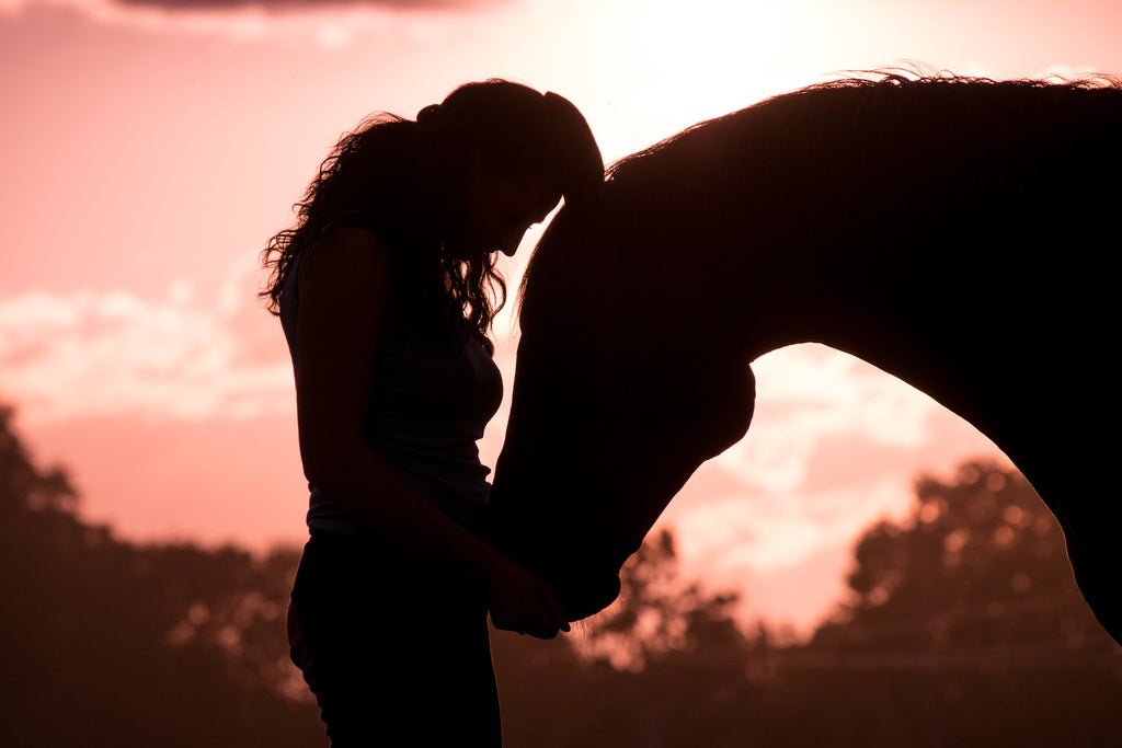 Silhouettes d'une femme et d'un cheval front contre front, en contre jour
